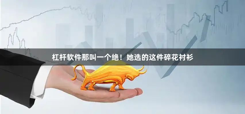 杠杆软件那叫一个绝！她选的这件碎花衬衫