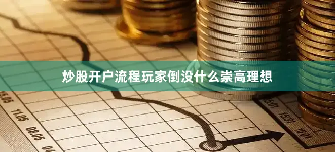 炒股开户流程玩家倒没什么崇高理想